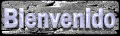 XX016792.gif (10677 bytes)