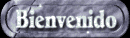 XX017182.gif (6248 bytes)