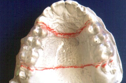 vistapajaro.jpg (31474 bytes)